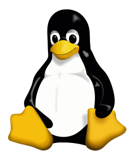 Webhosting met Linux Webhosting met Linux